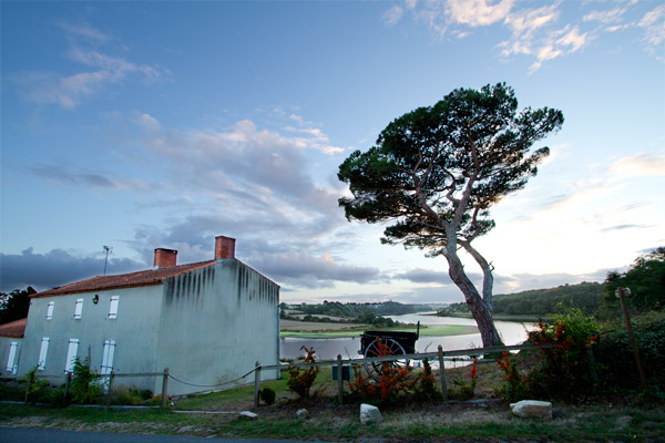 10mm @ f/5.6 10mm @ f/5.6