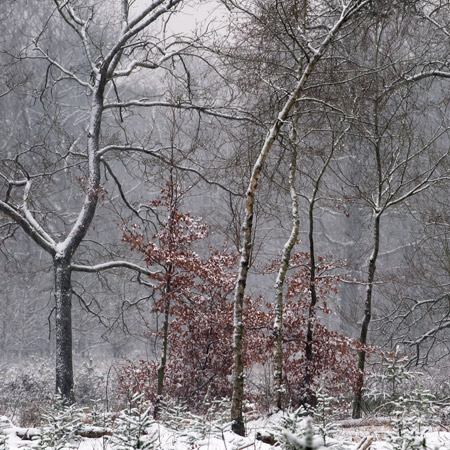 Nostalgisch sneeuwlandschap