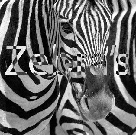 Zebra; overvloeimode verschil