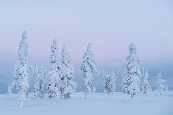 Roze lucht Lpaland BET8527 Roze lucht Lpaland BET8527