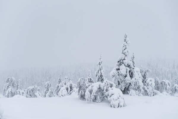 Sneeuwstorm lapland BET8675 Sneeuwstorm lapland BET8675
