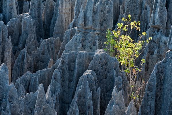 Tsingy Madagascar