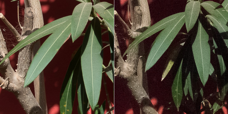Links ISO 100, Rechts ISO 3200 Links ISO 100, Rechts ISO 3200