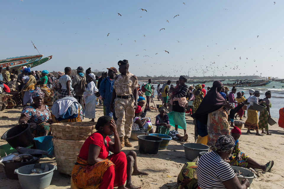 Straatfotografie bij de visafslag van Gambia