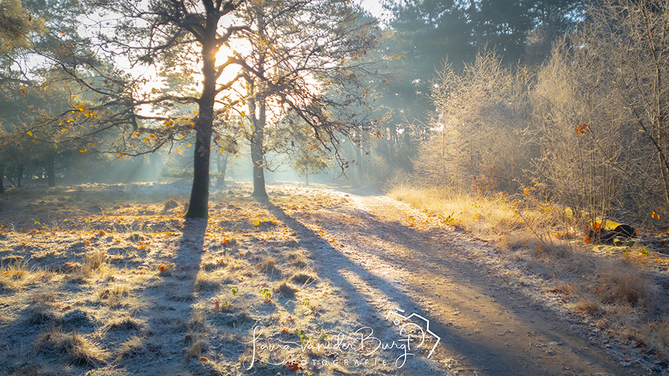 Landschap