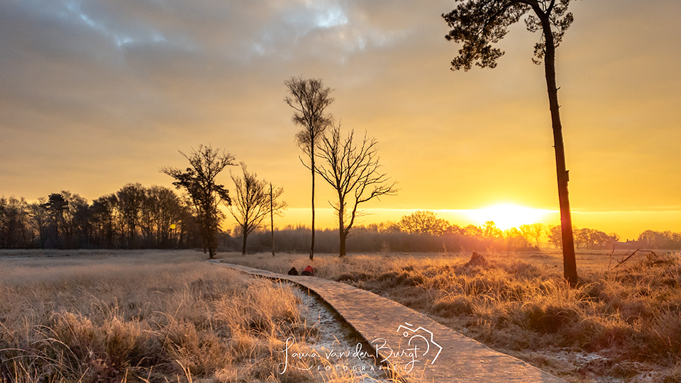 Landschap