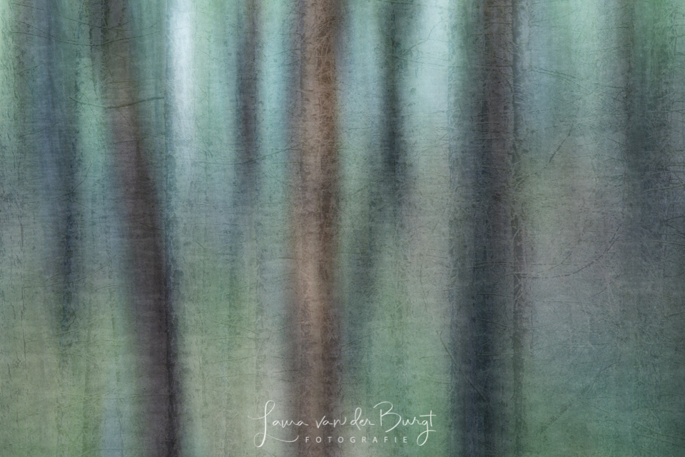 Laura abstract bomen Laura abstract bomen