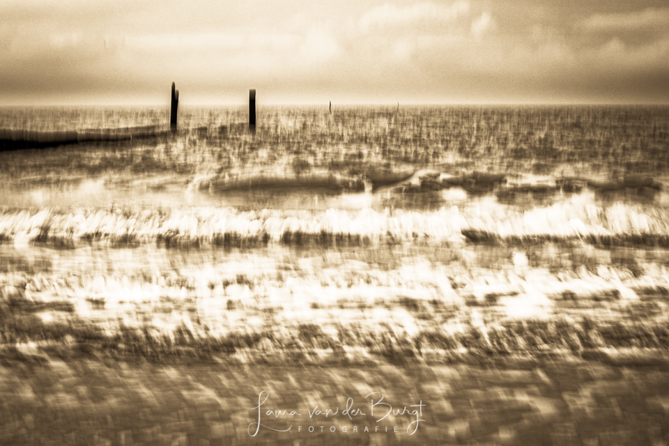 De zee in beweging De zee in beweging