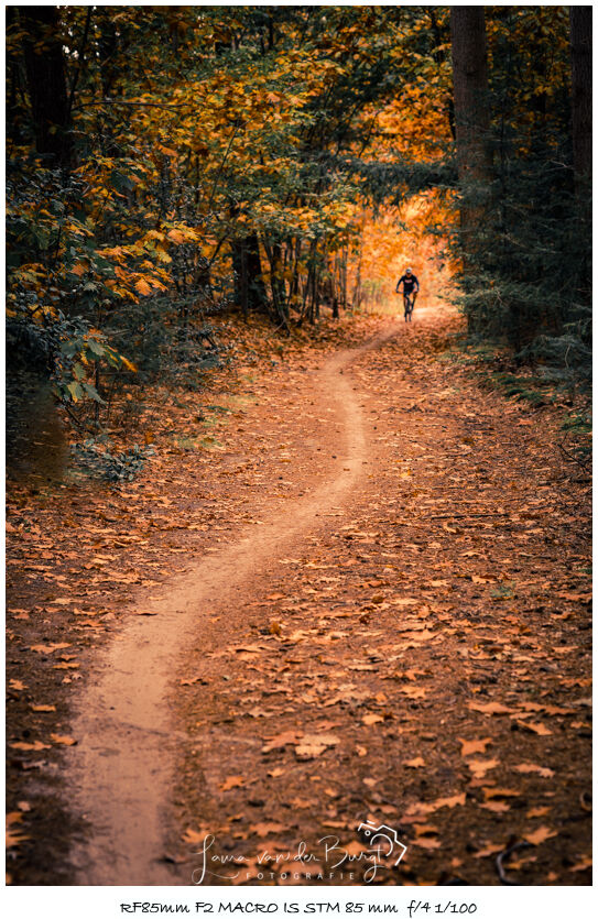 Laura van der Burgt Herfst in het bos 3