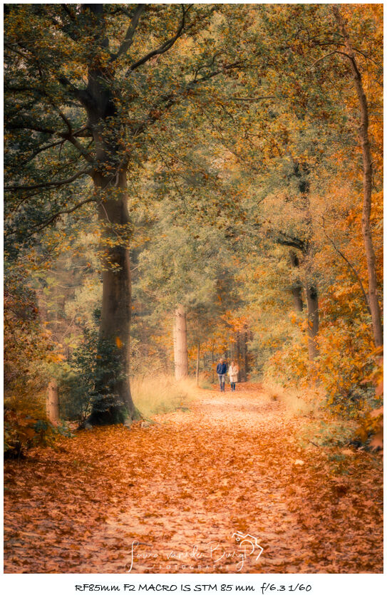 Laura van der Burgt Herfst in het bos 7