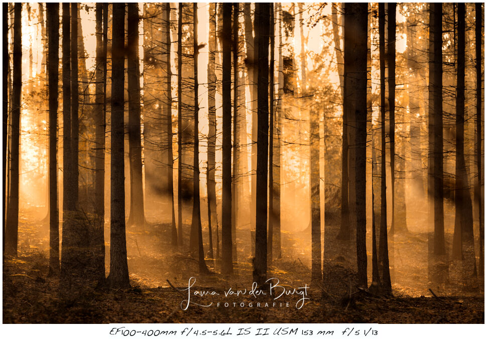 Laura van der Burgt - Herfstfotografie Laura van der Burgt - Herfstfotografie