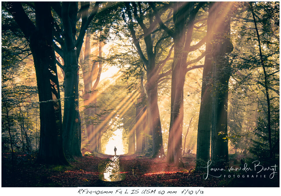 Laura van der Burgt - erfstfotografie