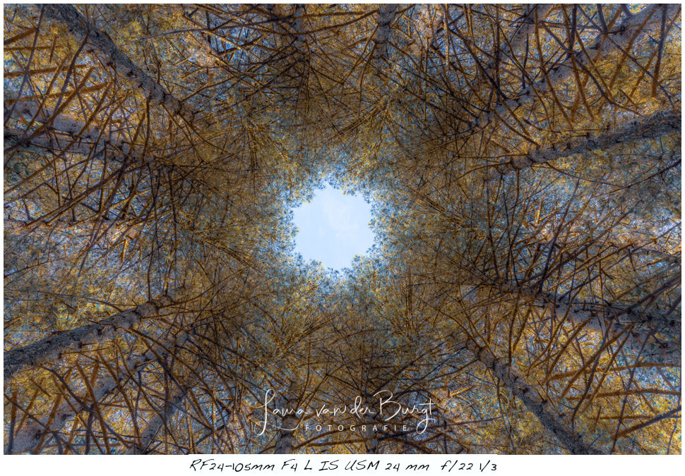 Laura van der Burgt Kaleidografie 2 Laura van der Burgt Kaleidografie 2