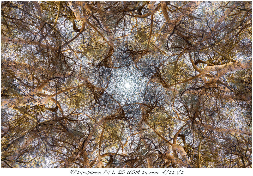Laura van der Burgt Kaleidografie 3 Laura van der Burgt Kaleidografie 3