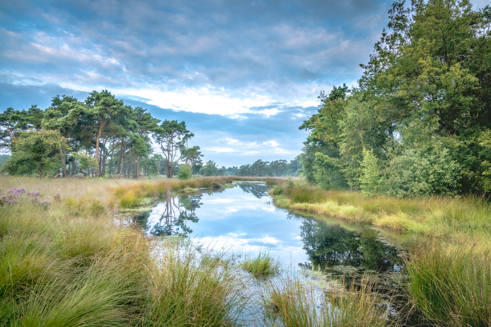 Laura van der Burgt Landschapsfotografie 4