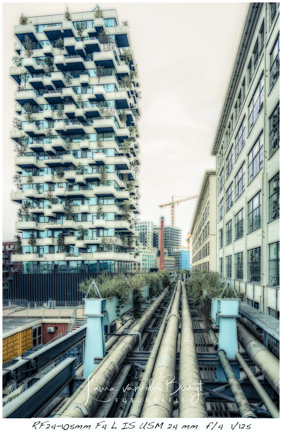StrijpS StrijpS