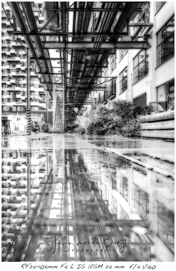 StrijpS StrijpS