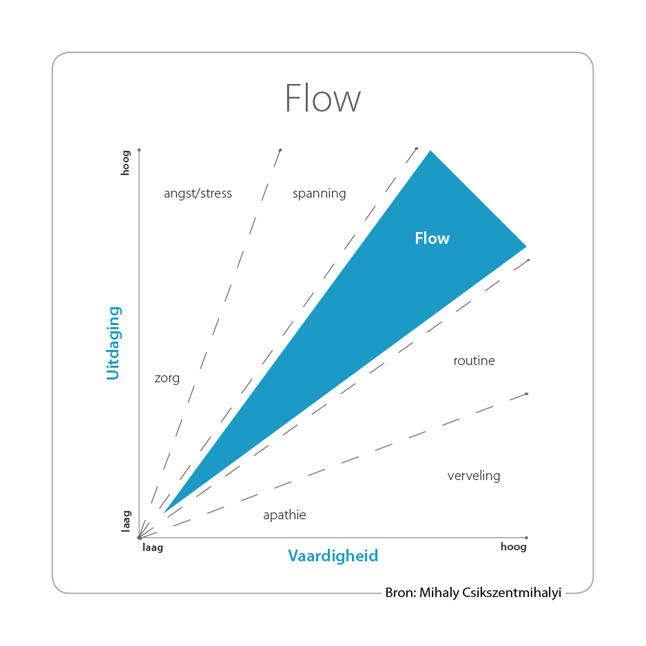 Werkgeluk flow