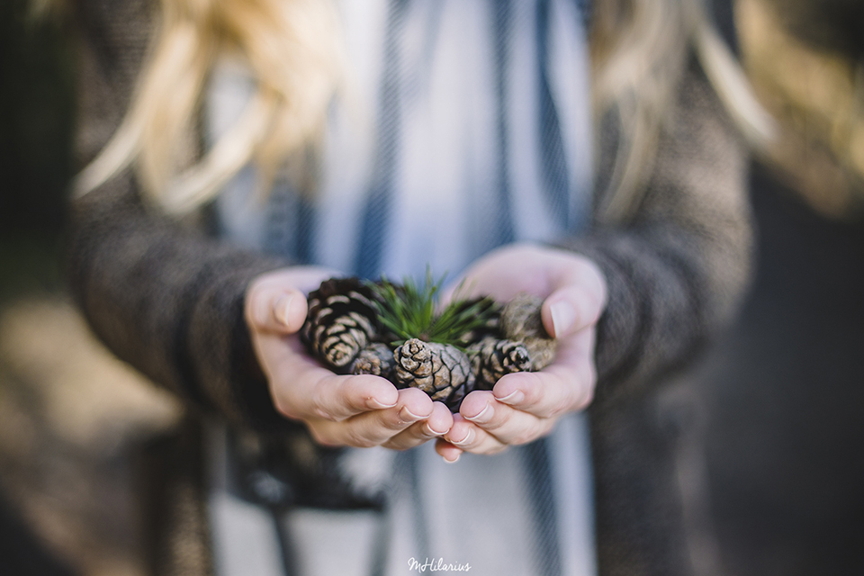 Bokeh Bokeh