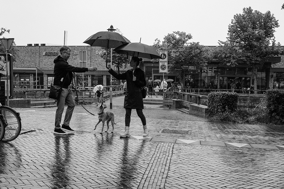 Paraplu's fotograferen Paraplu's fotograferen