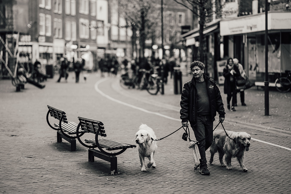 Michiel heijmans straatfotobijbel man honden