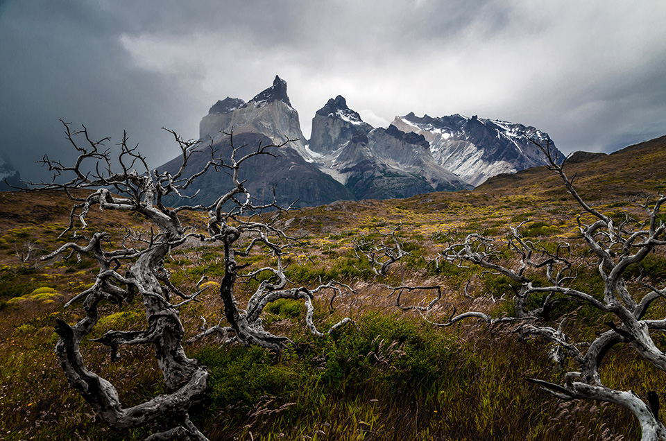 Torres del Paine