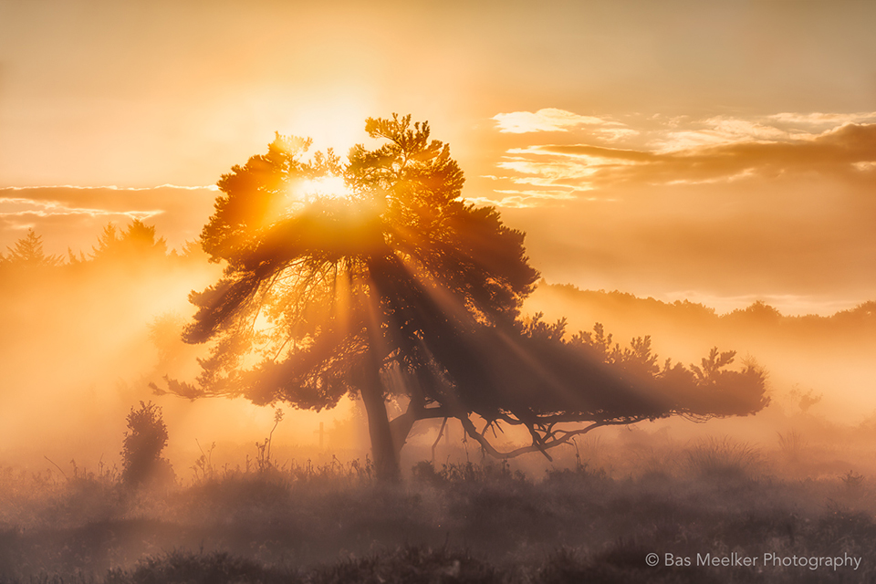 Foto door Bas Meelker