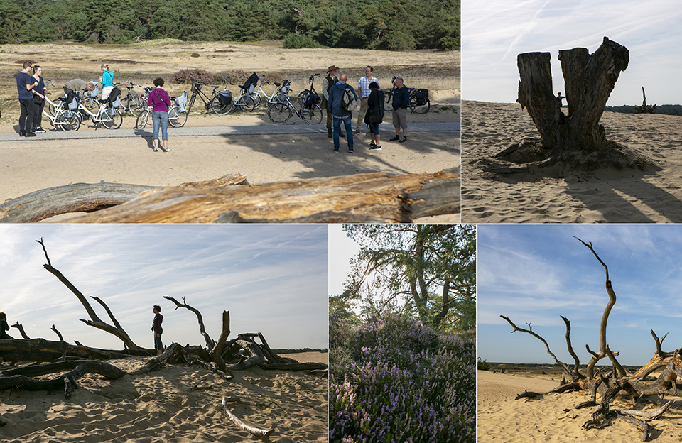 Fietsexcursie Veluwse fotodag