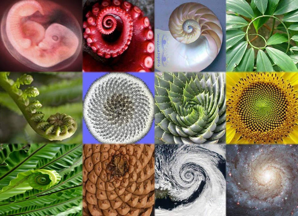 Fig 4 Fig 4