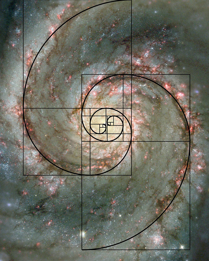 Fig 5 Fig 5