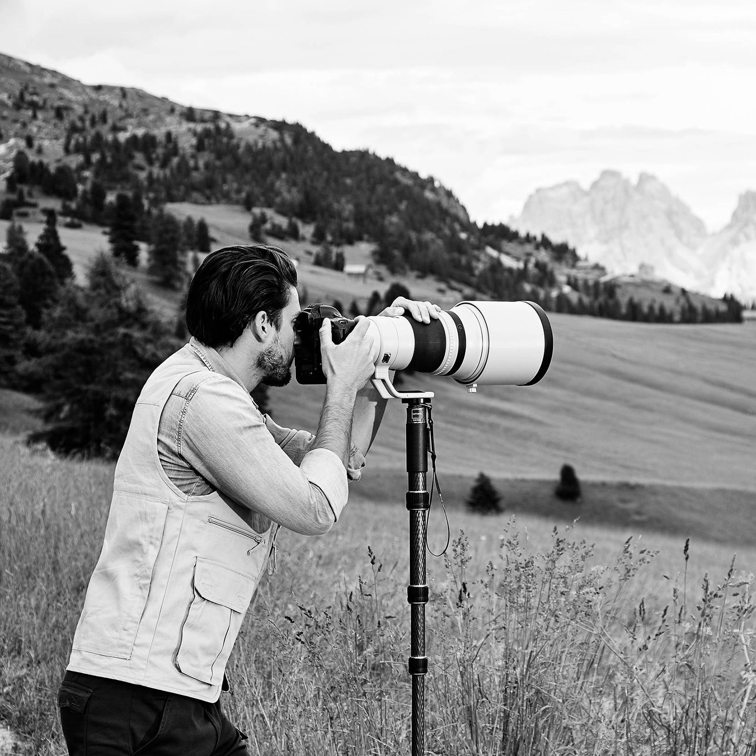 kampioen Mier modder Het nut van een monopod - Photofacts