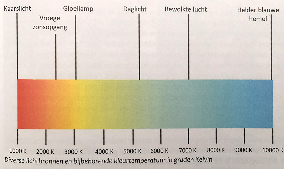 IMG 2693.jpeg IMG 2693.jpeg