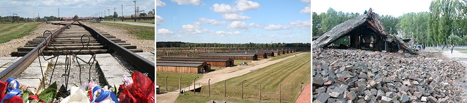 Auschwitz; restanten van de barakken, spoorlijn en gaskamers