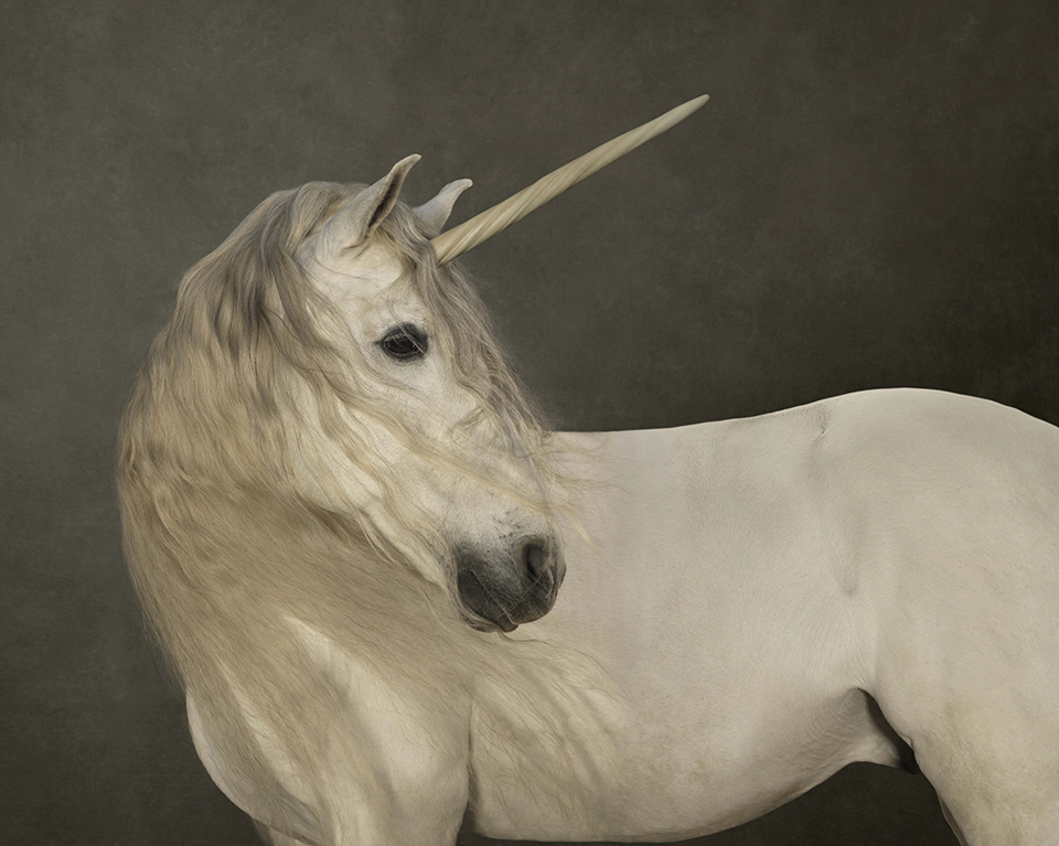 Marie Cecile Thijs White Unicorn 2012