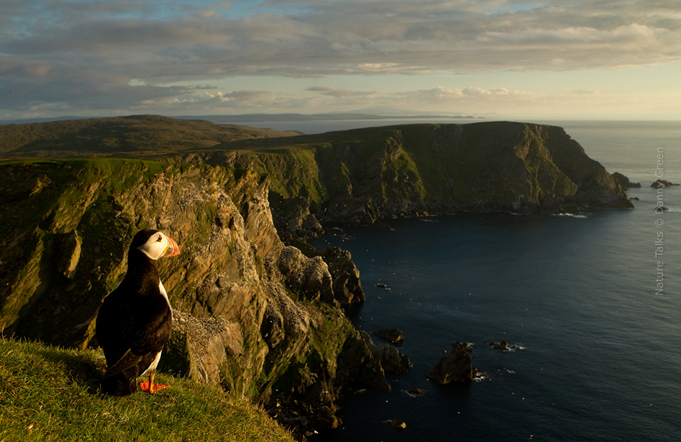 Nature Talks Photo Festival Danny Green Puffins view