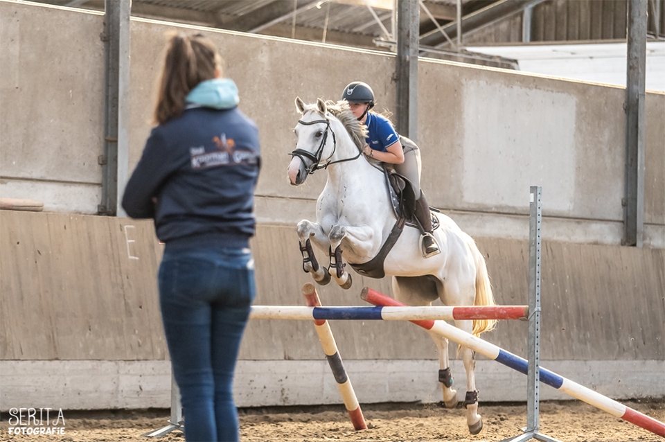 Serita Vossen bewegende paarden