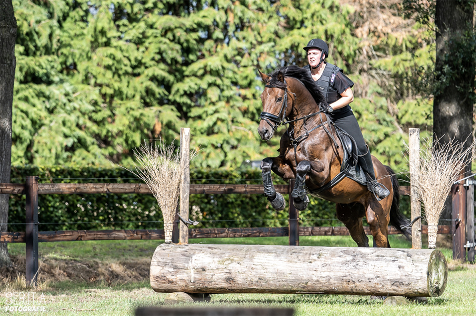 Serita Vossen bewegende paarden