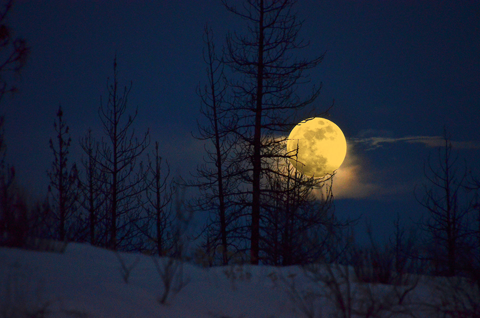 Tanja Thomas Blue Moon Tanja Thomas Blue Moon