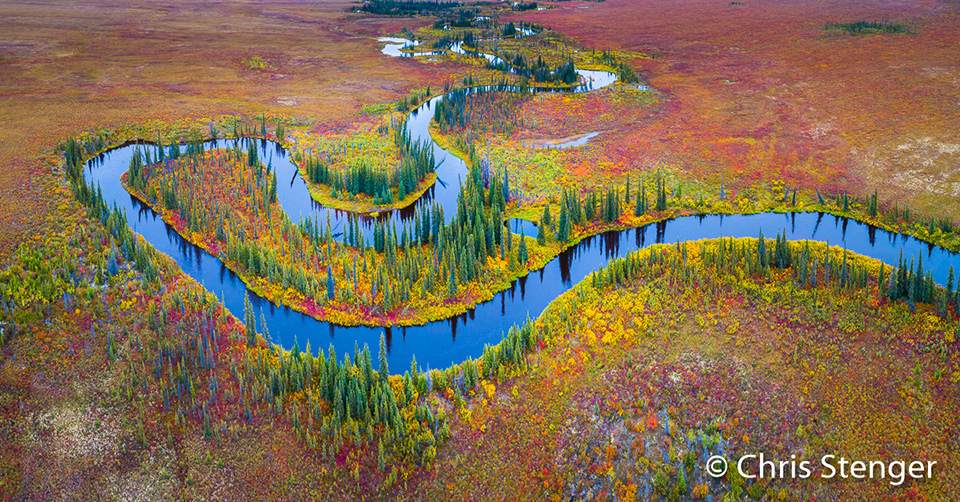 Toendra in de herfst, Alaska Toendra in de herfst, Alaska