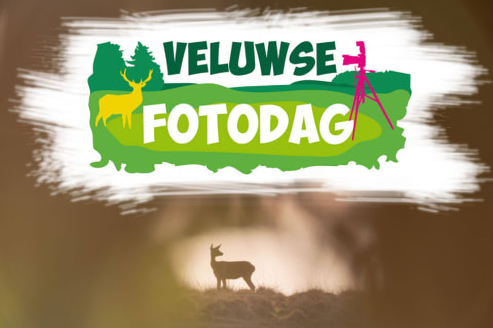 Veluwse Fotodag 2019 NW web