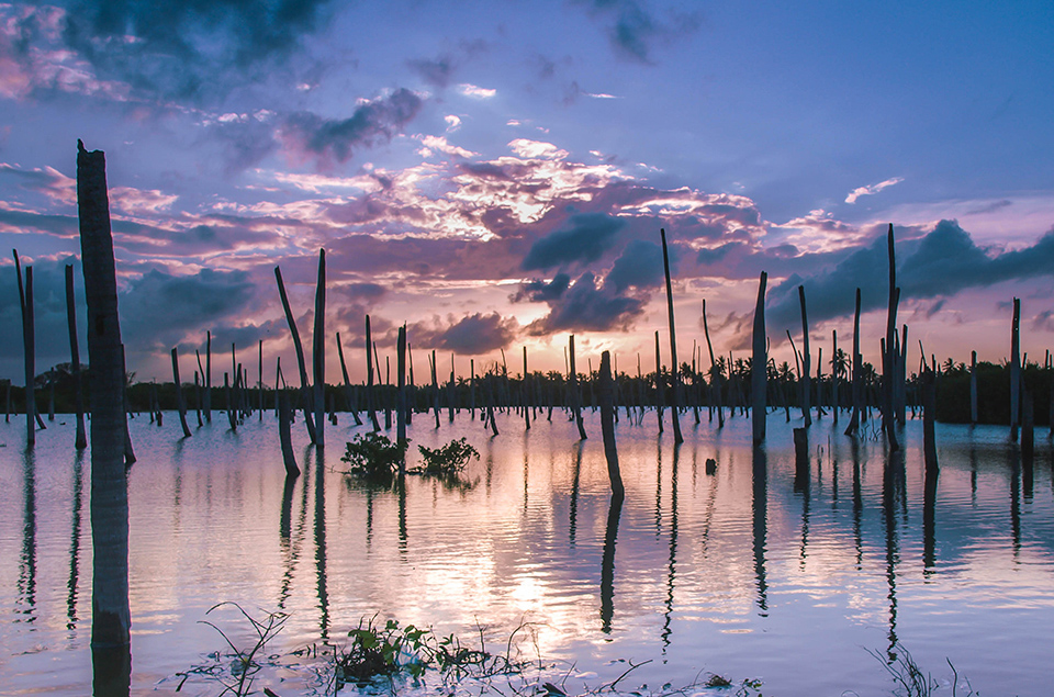 Zonsondergang moeras Punta Cana E520