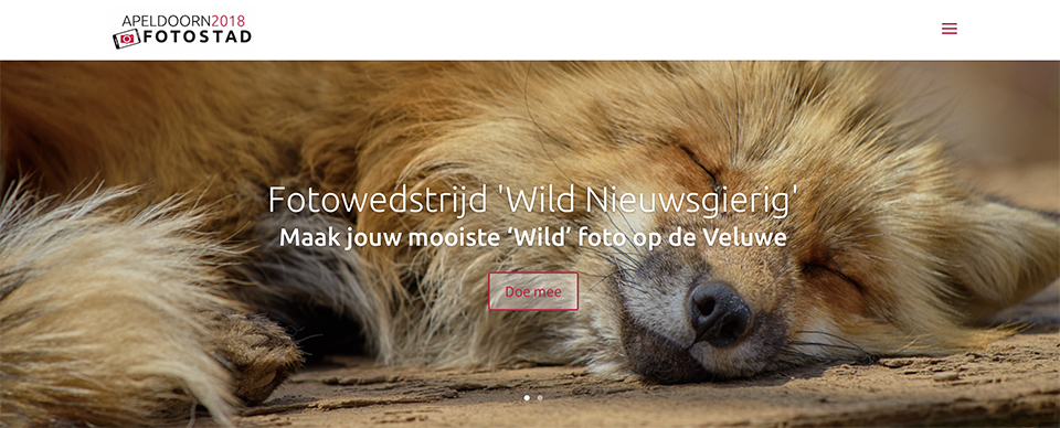 Apeldoorn Fotostad - Wild