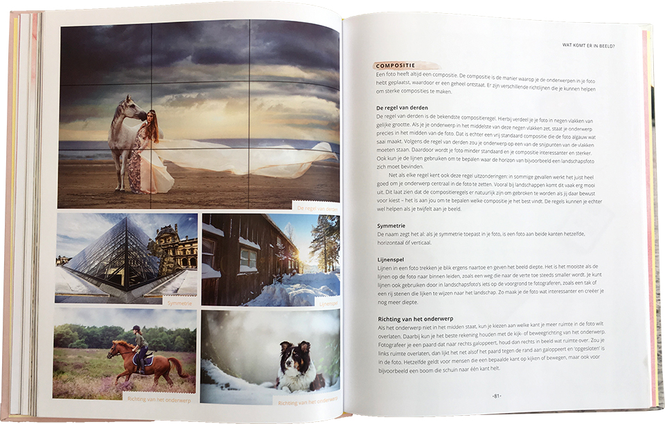 Boek Marit Hilarius -compositieregels Boek Marit Hilarius -compositieregels