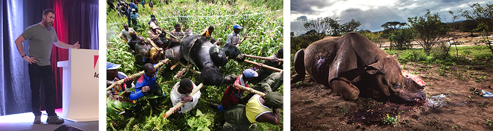 Brent stirton slachtpartijen