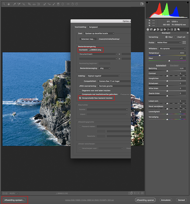 Camera raw editor save as dng