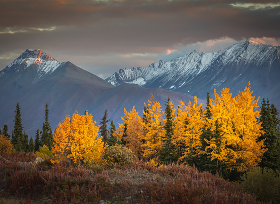 Canada herfstlandschap in de yukon ko hoogesteger wout kroon chris stenger