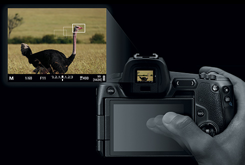 Canon camera eye detection Canon camera eye detection
