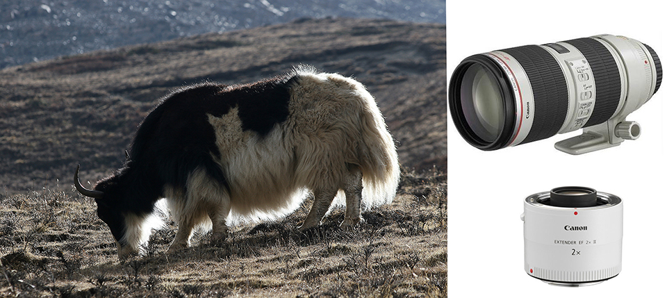 Canon zoomobjectief en extender Canon zoomobjectief en extender