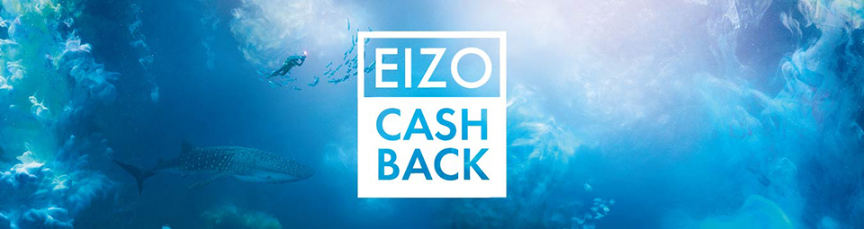 Cashback newsletter header