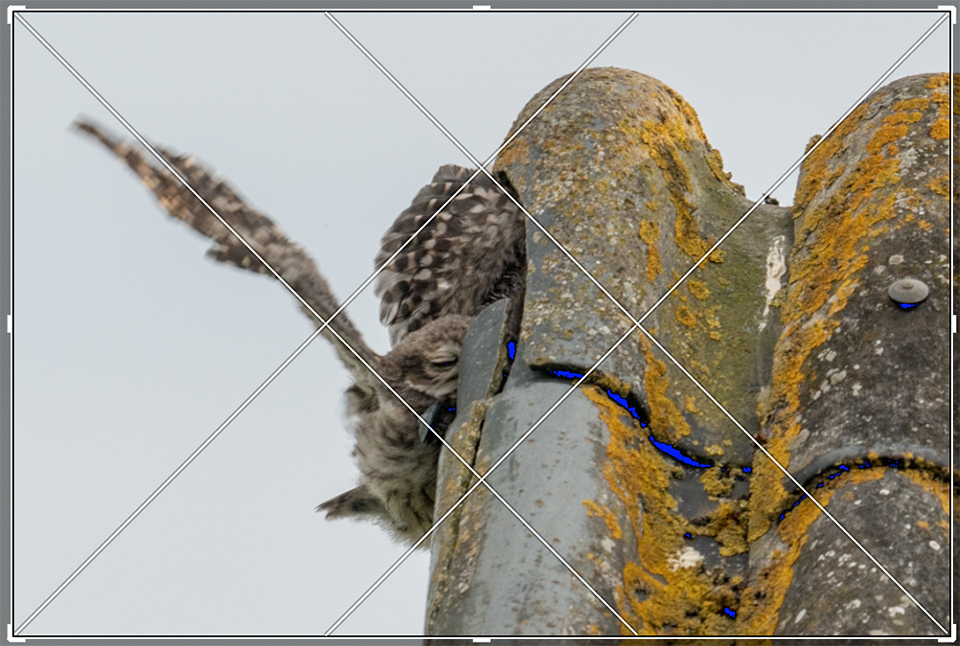 Diagonaal methode in lightroom Diagonaal methode in lightroom